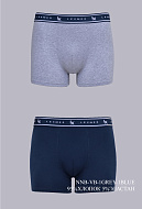 Боксеры муж. п/уп NNB-VB-1GREY-1BLUE
