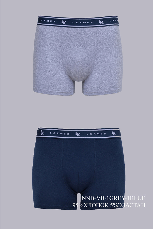 Боксеры муж. п/уп NNB-VB-1GREY-1BLUE
