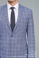 Костюм мужской двойка 2195-VQ-35S