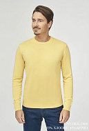 Трикотаж Джемпер NT-DKK-2868