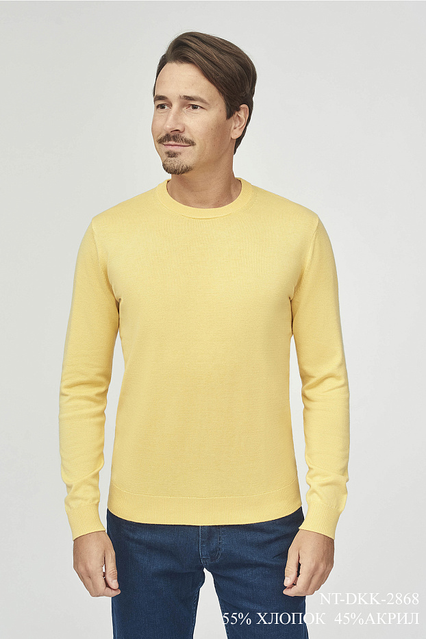 Трикотаж Джемпер NT-DKK-2868