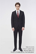 Костюм мужской двойка 9105-VJ-551X