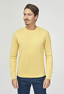 Трикотаж Джемпер NT-DKK-2868