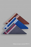 Платок носов. п/уп NPN-73